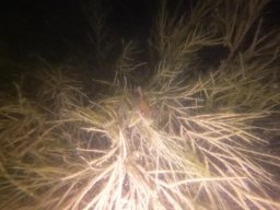 immersioni-estate22 15